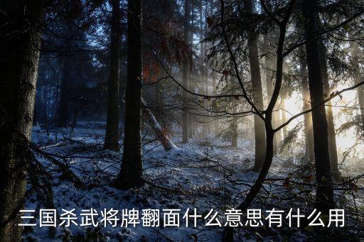 唱舞全明星翻牌，弹弹堂2 副本翻牌技巧 是弹弹堂2 不是1