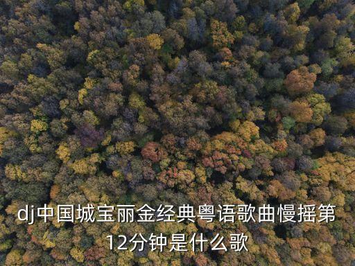 dj中国城宝丽金经典粤语歌曲慢摇第12分钟是什么歌