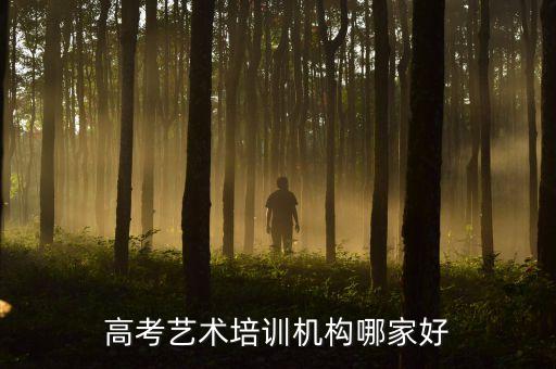 高考艺术培训机构哪家好