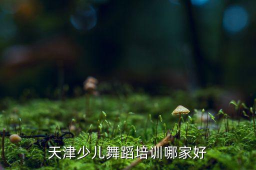 天津少儿舞蹈培训机构排名前十，天津幼儿舞蹈培训哪里好 专业