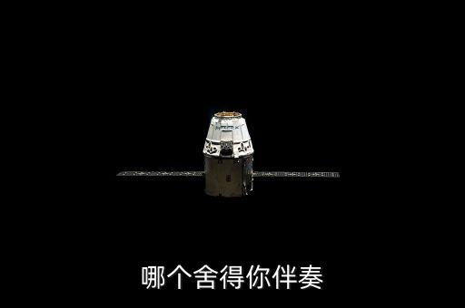 哪个舍得你伴奏