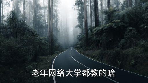 老年网络大学都教的啥