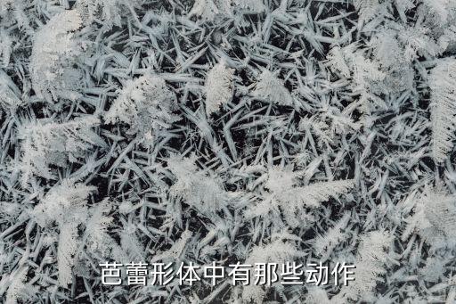 芭蕾形体中有那些动作