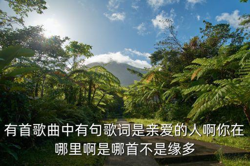 有首歌曲中有句歌词是亲爱的人啊你在哪里啊是哪首不是缘多