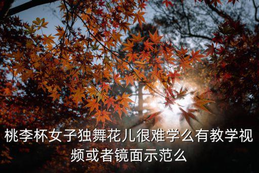 桃李杯女子独舞花儿很难学么有教学视频或者镜面示范么