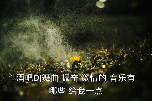 酒吧DJ舞曲 振奋 激情的 音乐有哪些 给我一点