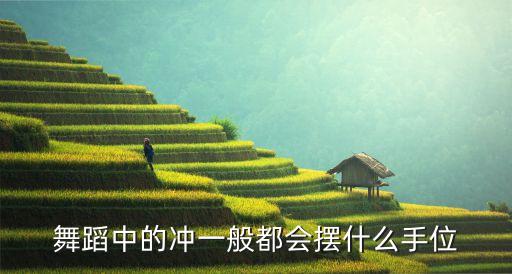 中国舞蹈男孩手位都有哪些，中国舞的基本脚位
