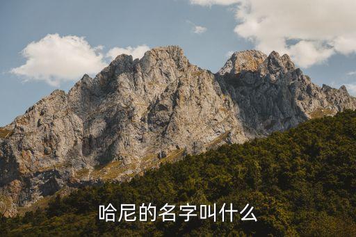dj哈尼什么名字，请问这个快手妹子叫什么名字想找她的歌曲
