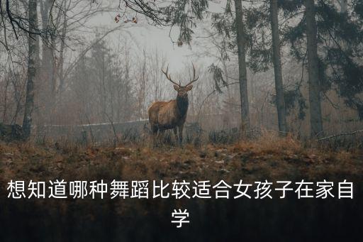 想知道哪种舞蹈比较适合女孩子在家自学