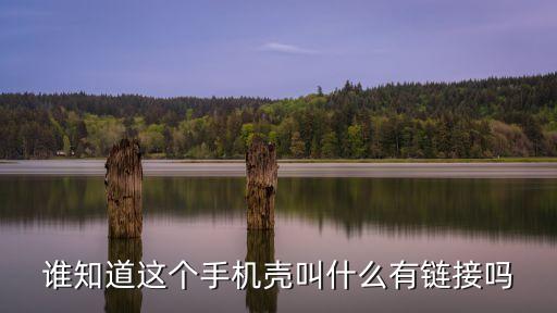 谁知道这个手机壳叫什么有链接吗