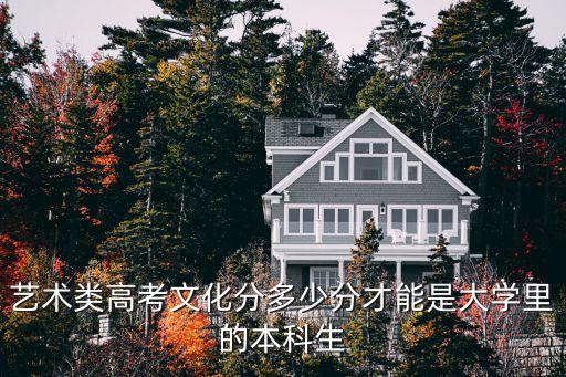 安徽舞蹈艺考生多少分可以上本科，艺术类考生多少分能上本科大学