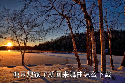 糖豆想家了就回来舞曲怎么下载