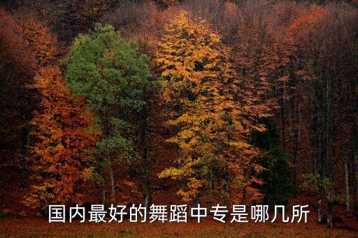 国内最好的舞蹈中专是哪几所