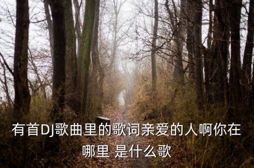 有首DJ歌曲里的歌词亲爱的人啊你在哪里 是什么歌