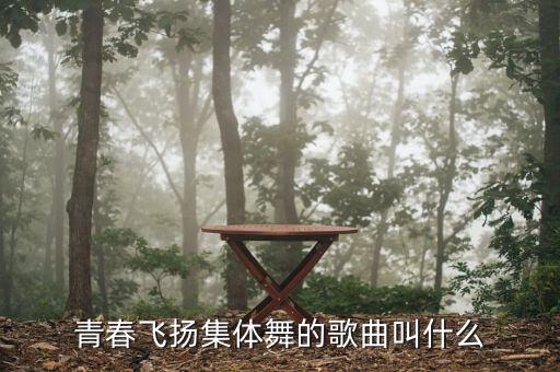 青春飞扬集体舞的歌曲叫什么