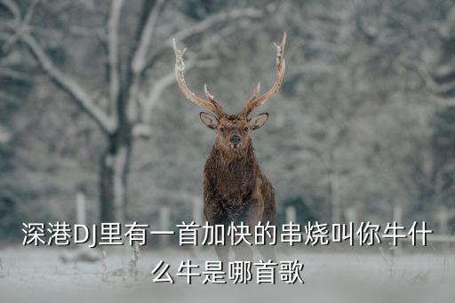 舞曲你牛什么牛，你牛什么牛dj歌曲链接