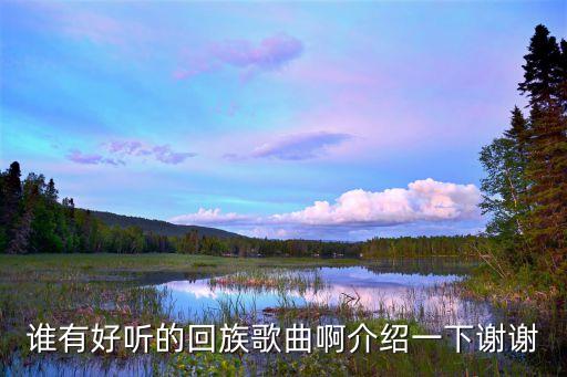 谁有好听的回族歌曲啊介绍一下谢谢