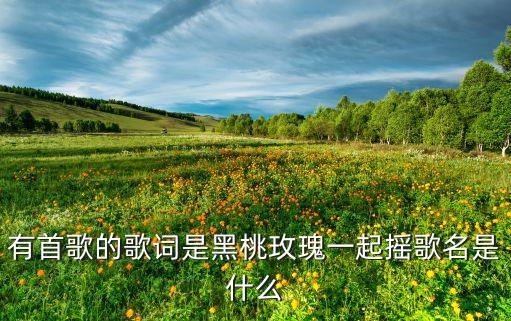 有首歌的歌词是黑桃玫瑰一起摇歌名是什么
