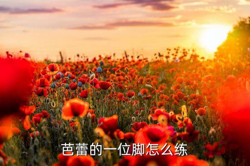 芭蕾 一位怎么练，芭蕾的一位脚怎么练