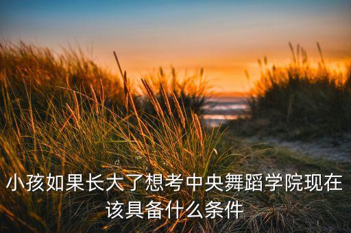 小孩如果长大了想考中央舞蹈学院现在该具备什么条件