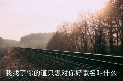 我找了你的道只想对你好歌名叫什么