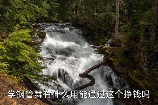 学钢管舞有什么用能通过这个挣钱吗