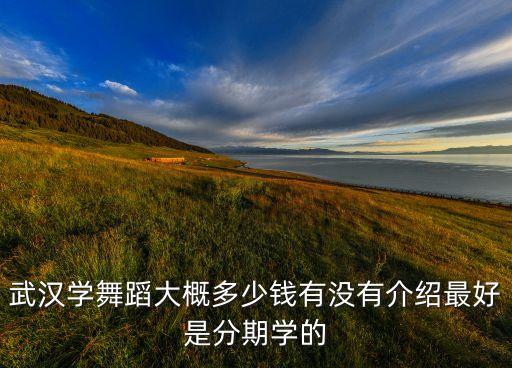 武汉学舞蹈大概多少钱有没有介绍最好是分期学的
