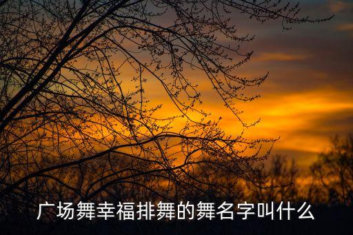 广场舞幸福排舞的舞名字叫什么