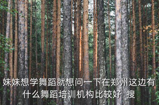 妹妹想学舞蹈就想问一下在郑州这边有什么舞蹈培训机构比较好  搜