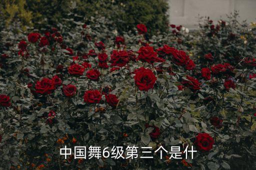 中国舞6级第三个是什