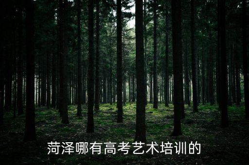菏泽哪有高考艺术培训的
