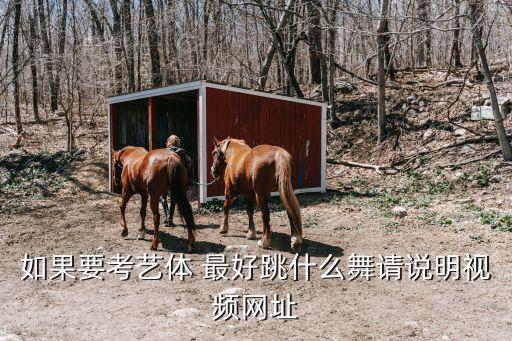 舞蹈艺体生考试现场视频，我是艺术生高考分数是274分但是不想就读艺术音乐业了请问我