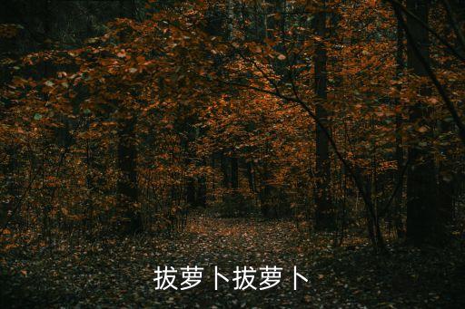 拔萝卜拔萝卜