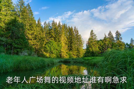 老年人广场舞的视频地址谁有啊急求