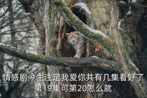 情感剧今生注定我爱你共有几集看好了第19集可第20怎么就