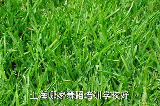 上海哪家舞蹈培训学校好