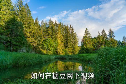 如何在糖豆网下视频