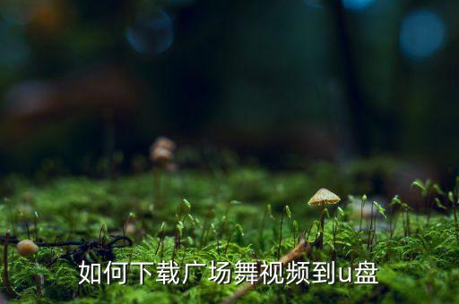 清盈百合广场舞mp4怎么下载，怎么样下载广场舞视频放MP4里