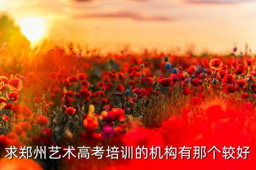 求郑州艺术高考培训的机构有那个较好