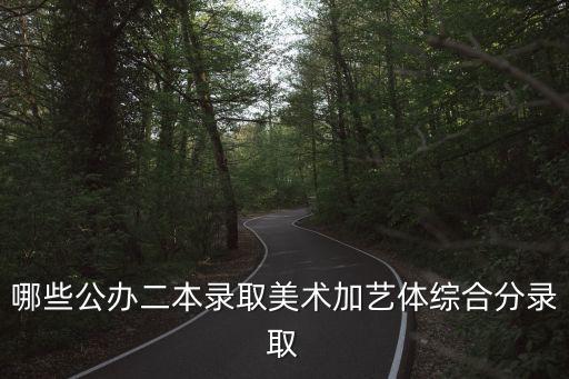 艺术类二本有公办的吗，大连有没有2本以上的公办的艺术学校