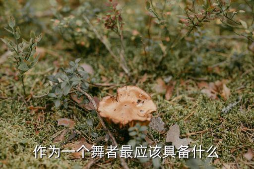 作为一个舞者最应该具备什么