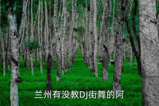 兰州有没教DJ街舞的阿