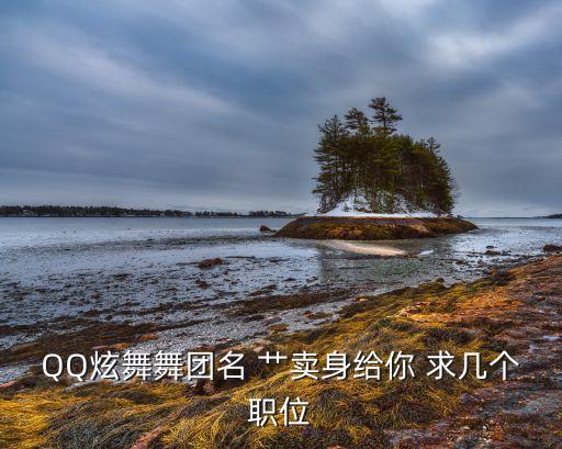 QQ炫舞舞团名 艹卖身给你 求几个职位