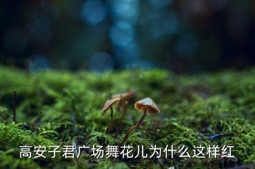 高安子君广场舞花儿为什么这样红