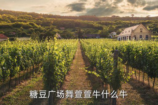 糖豆广场舞萱萱牛什么牛