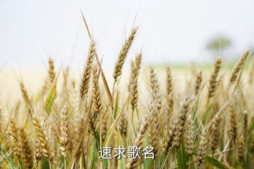 你怎么说 邓丽君慢四舞曲，豫剧邓丽君你怎么说