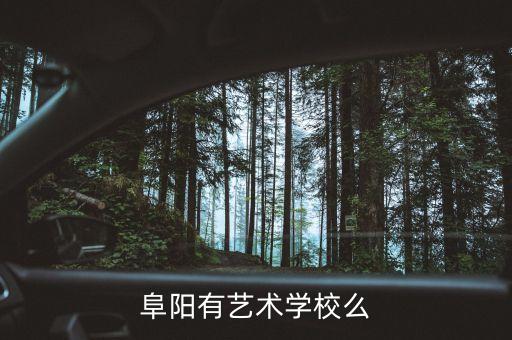 安徽舞蹈学院在哪里，合肥有哪些体育学校