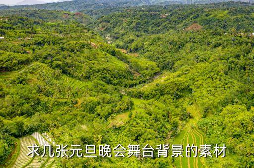 音乐舞台背景图片 高清大图，求几张元旦晚会舞台背景的素材