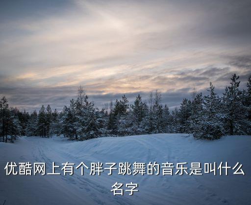优酷网上有个胖子跳舞的音乐是叫什么名字