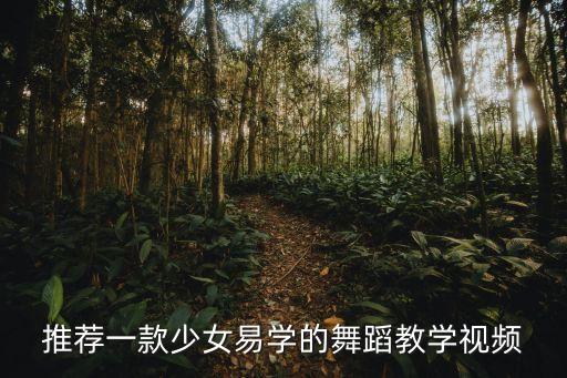推荐一款少女易学的舞蹈教学视频